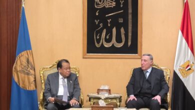 المحكمة الدستورية