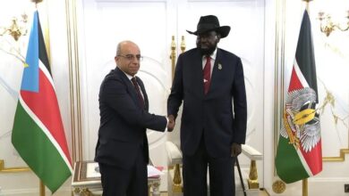 السفير المصري