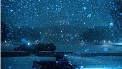 الولايات المتحدة