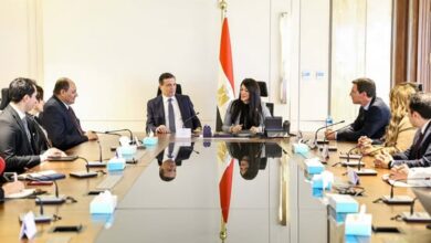 وزيرة التخطيط