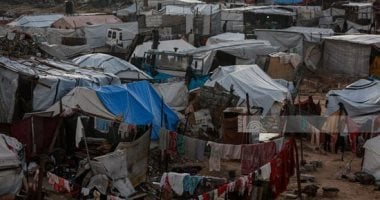 الدور المصرى