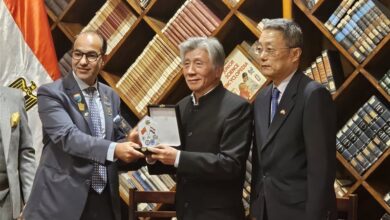 الدبلوماسية