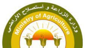 الزراعة