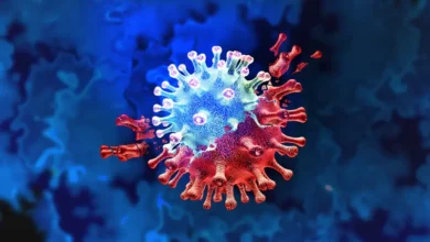 علم الأيضيات