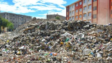 الفلسطينية