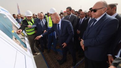 كامل الوزير