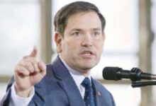 الامريكيين