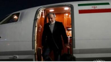 الدبلوماسية