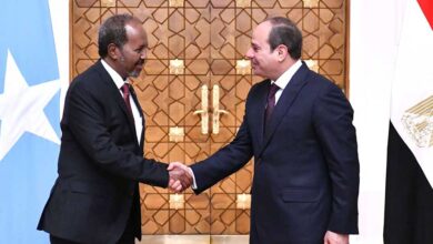 قمة مصرية