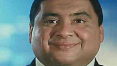 علاء ولي الدين