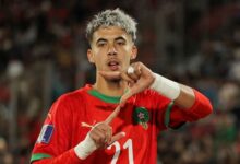 رين الفرنسي