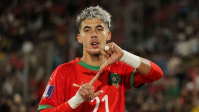 رين الفرنسي