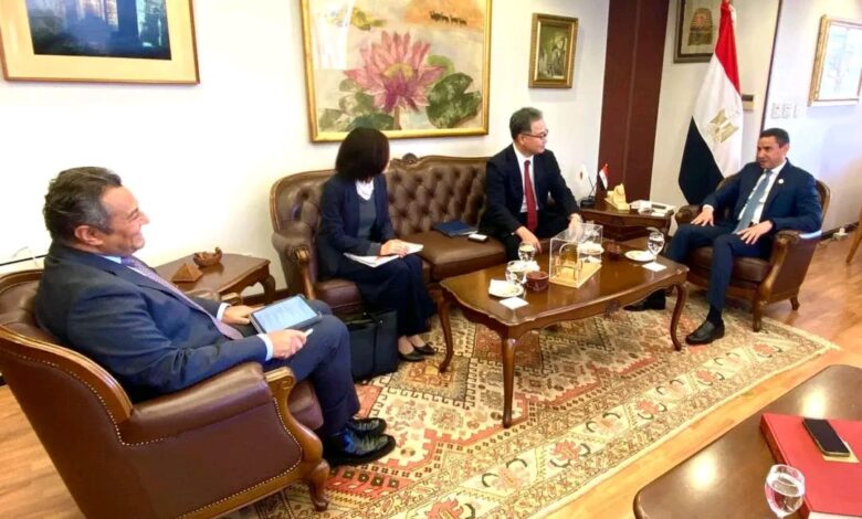 السفير المصري