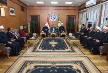 محافظ الدقهلية