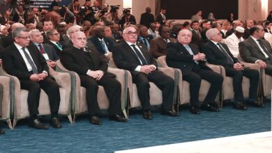 النيابة الإدارية