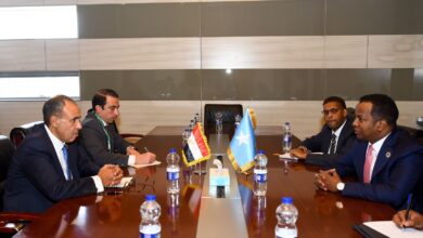 وزير الخارجية