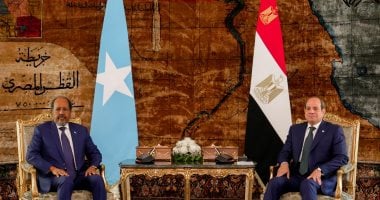 الاتحاد الأفريقى