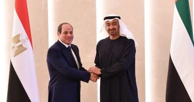 محمد بن زايد