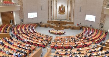 المستوردين