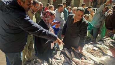 وزارة التموين