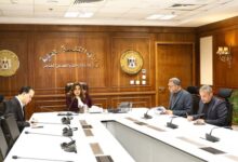 وزيرة التنمية المحلية