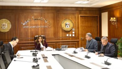 وزيرة التنمية المحلية