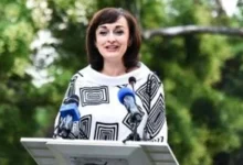 الدبلوماسية