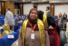 الأم المثالية