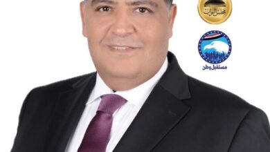 أشرف رشاد عثمان: مصر تعلن تضامنها الكامل مع اشقائها العرب وتؤكد وقوفها بجانبهم