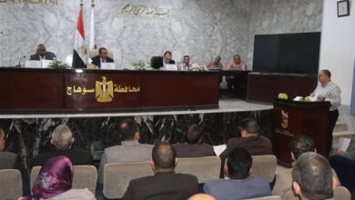 محافظ سوهاج