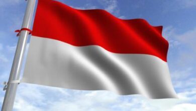 وزارة الدفاع