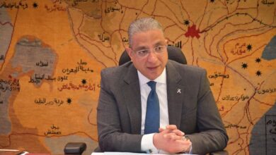 محافظ الجيزة