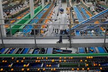 اتحاد المستثمرين