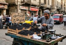 التوت الأسود