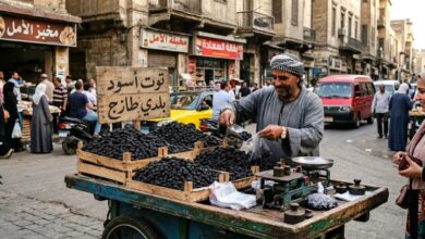 التوت الأسود