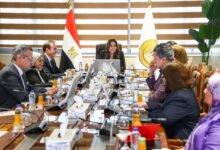 وزيرة التنمية المحلية