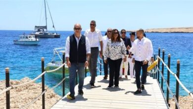 وزيرة التنمية المحلية