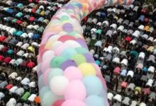 دار الإفتاء