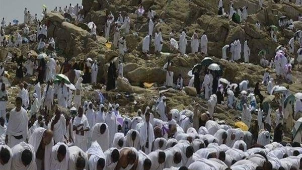 دار الإفتاء