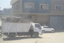 محافظ الجيزة