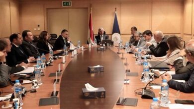 السياحة النيلية