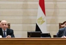 هشام بدوي