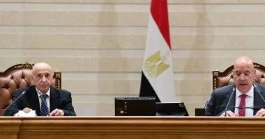 هشام بدوي