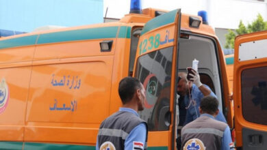 بولاق الدكرور