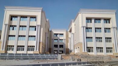 جامعة حلوان