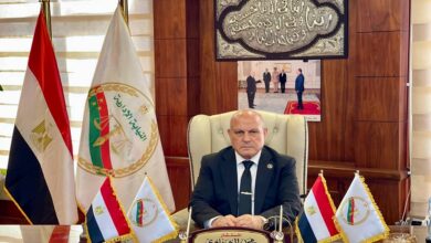 رئيس النيابة الإدارية