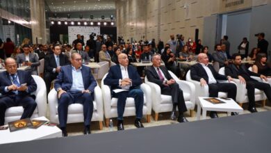 تنمية المشروعات