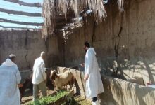 الزراعة