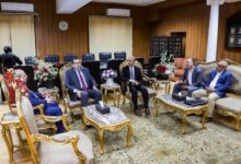 الجامعة المصرية