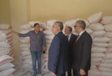 تنمية المشروعات